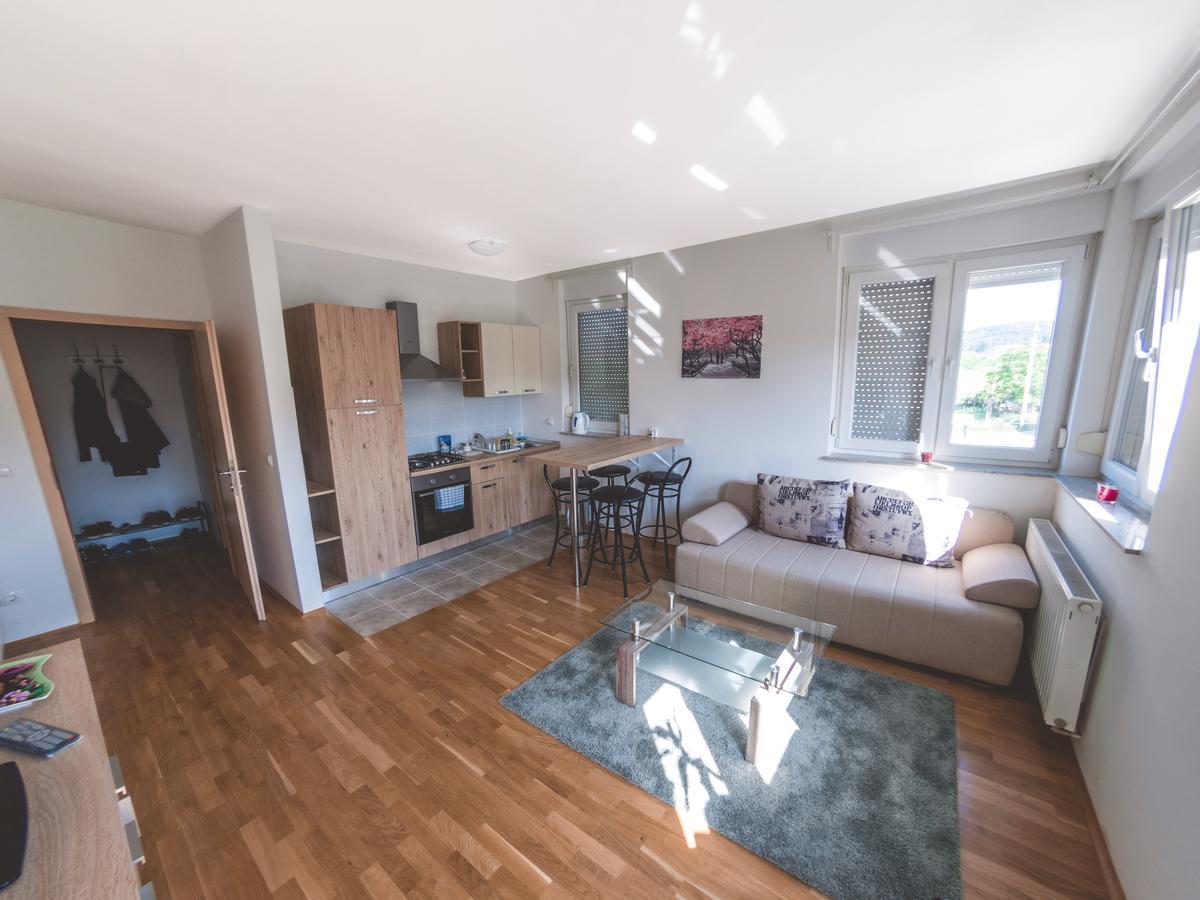 Apartment Daphnia Загреб Екстер'єр фото